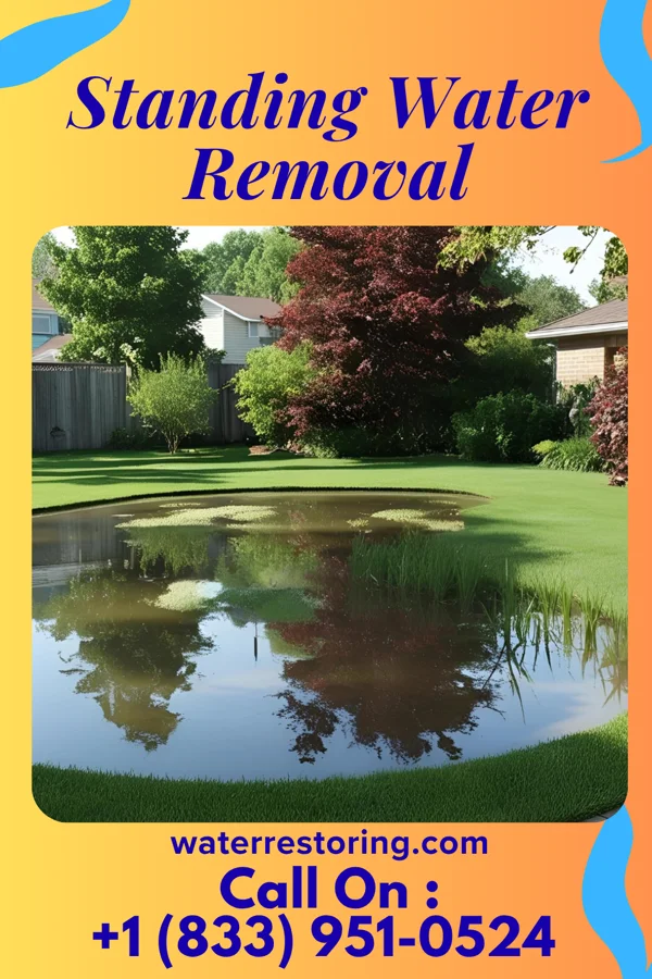 Standing Water Removal in Franklin, AL